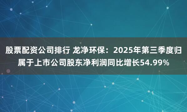 股票配资公司排行 龙净环保：2025年第三季度归属于上市公司股东净利润同比增长54.99%