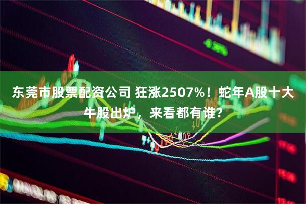 东莞市股票配资公司 狂涨2507%！蛇年A股十大牛股出炉，来看都有谁？