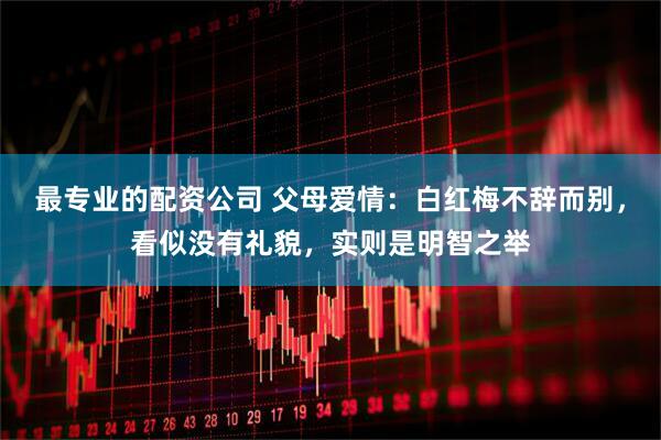 最专业的配资公司 父母爱情：白红梅不辞而别，看似没有礼貌，实则是明智之举