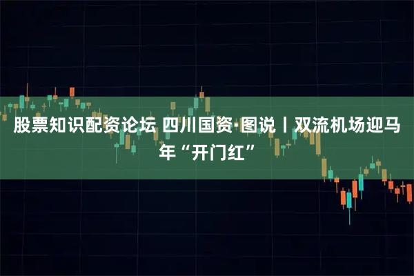 股票知识配资论坛 四川国资·图说丨双流机场迎马年“开门红”