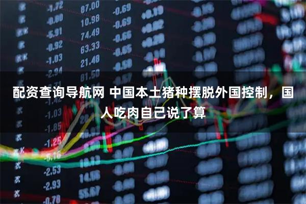 配资查询导航网 中国本土猪种摆脱外国控制，国人吃肉自己说了算